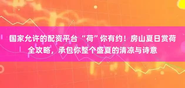 国家允许的配资平台 “荷”你有约！房山夏日赏荷全攻略，承包你整个盛夏的清凉与诗意