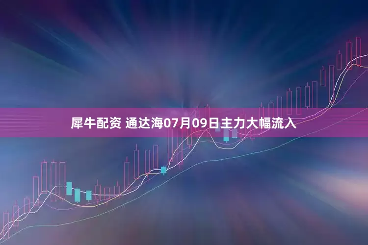 犀牛配资 通达海07月09日主力大幅流入