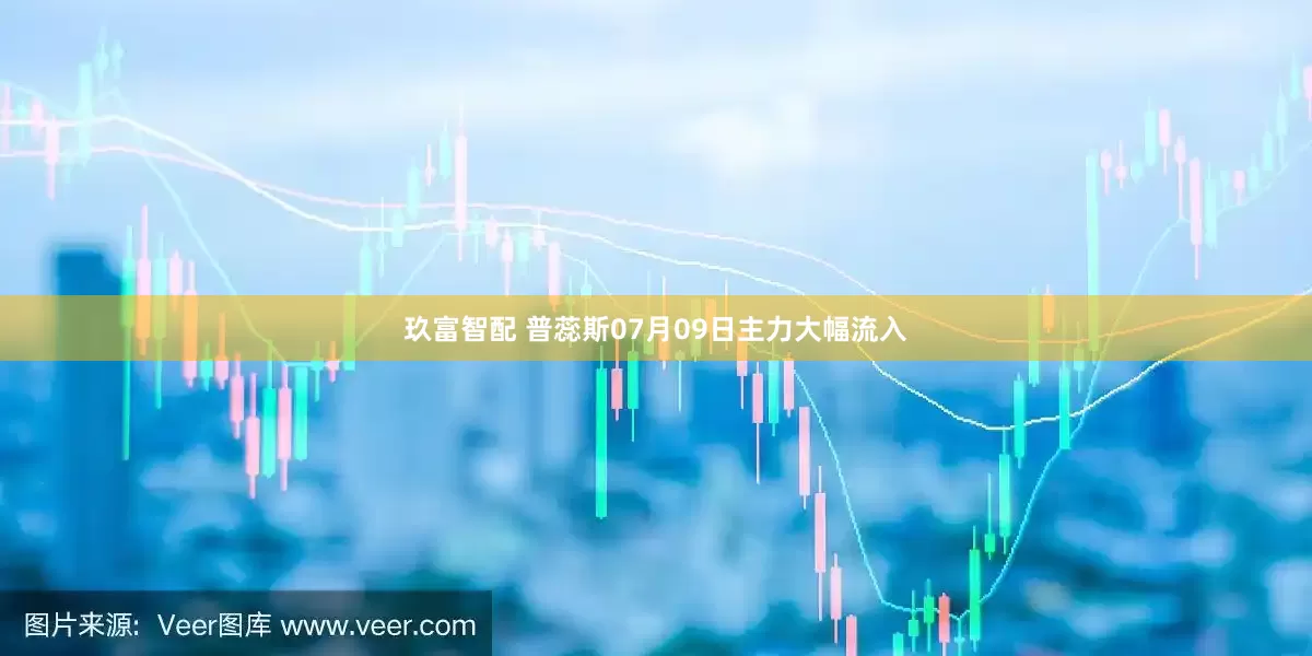 玖富智配 普蕊斯07月09日主力大幅流入