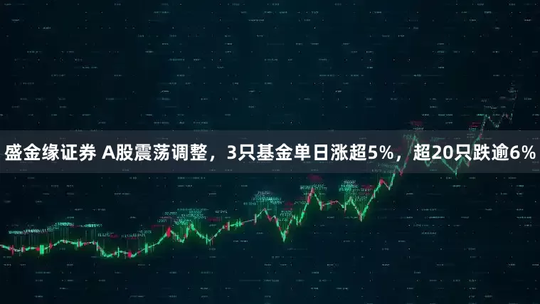 盛金缘证券 A股震荡调整，3只基金单日涨超5%，超20只跌逾6%