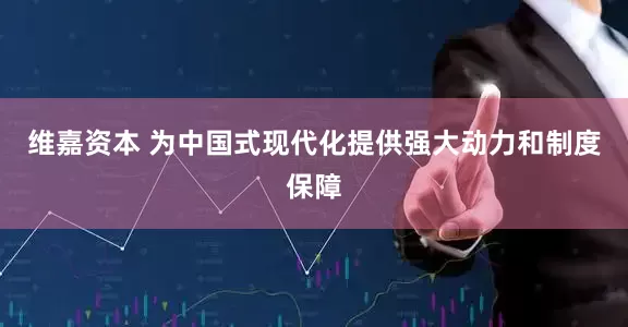 维嘉资本 为中国式现代化提供强大动力和制度保障