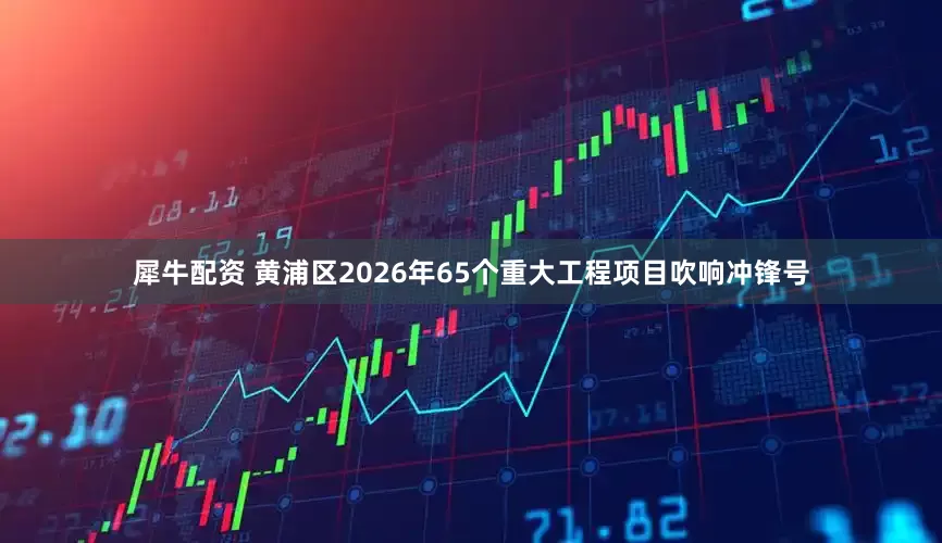 犀牛配资 黄浦区2026年65个重大工程项目吹响冲锋号
