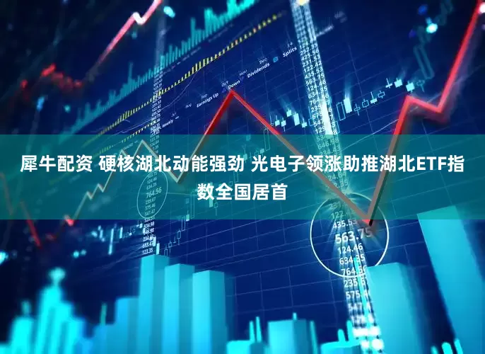 犀牛配资 硬核湖北动能强劲 光电子领涨助推湖北ETF指数全国居首